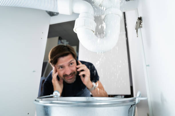 Best Plumbing Inspection Services  in Watsonville, CA